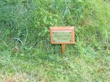 image of grave number 428977